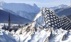 加密货币的财富分布分析：从比特币到新兴币种