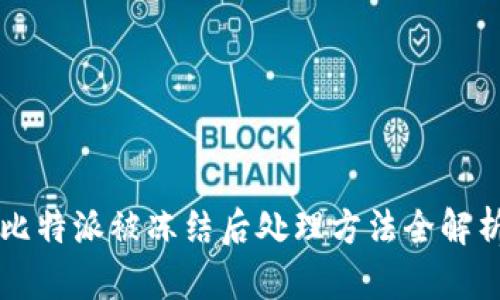 比特派被冻结后处理方法全解析