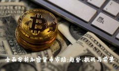 全面分析加密货币市场：趋势、挑战与前景