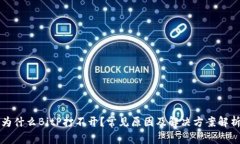 为什么BitP打不开？常见原因及解决方案解析