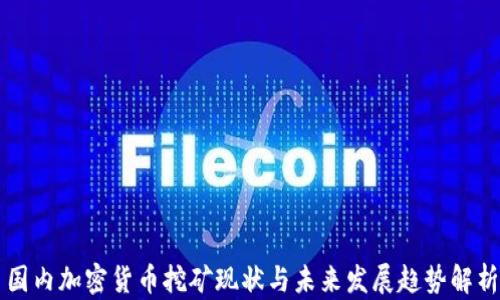 
国内加密货币挖矿现状与未来发展趋势解析