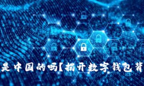 BitP钱包是中国的吗？揭开数字钱包背后的秘密