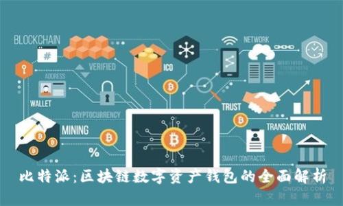 比特派：区块链数字资产钱包的全面解析