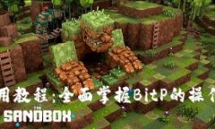 BitP使用教程：全面掌握BitP的操作与应用