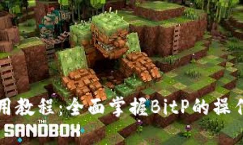 BitP使用教程：全面掌握BitP的操作与应用