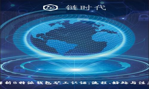 全面解析B特派钱包矿工认证：流程、好处与注意事项