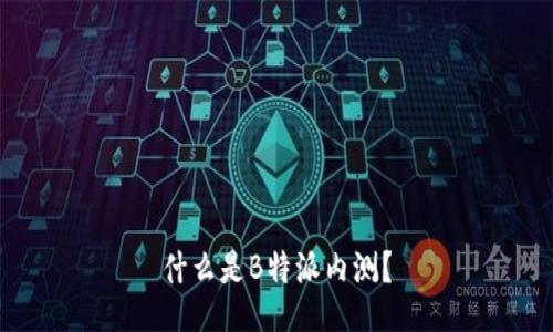 什么是B特派内测？
