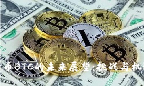 加密货币BTC的未来展望：挑战与机遇并存