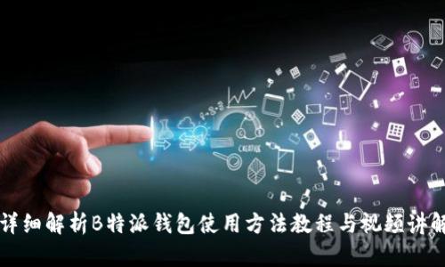 详细解析B特派钱包使用方法教程与视频讲解