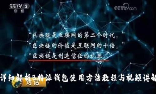 详细解析B特派钱包使用方法教程与视频讲解