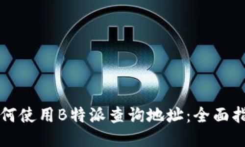 如何使用B特派查询地址：全面指南