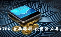 加密货币TED：全面解析、投资潜力与未来发展