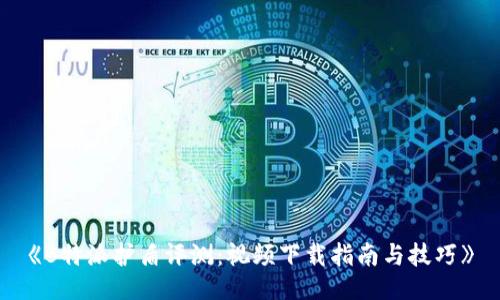 《B特派护盾评测：视频下载指南与技巧》
