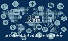 大公司加密货币：发展趋势与投资机会