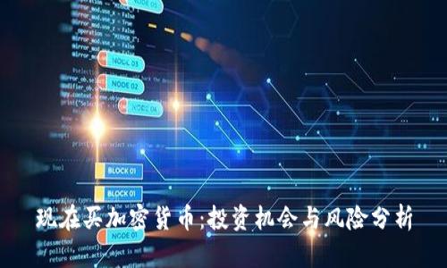 现在买加密货币：投资机会与风险分析