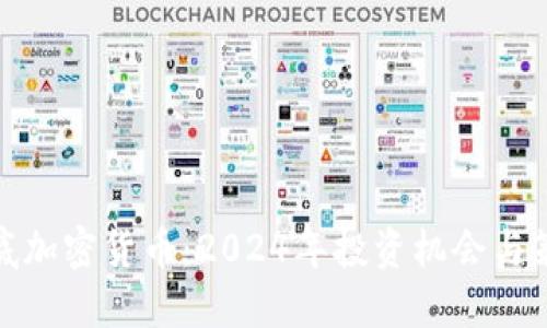 抄底加密货币：2024年投资机会与策略