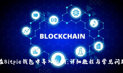 如何在Bitpie钱包中导入私钥：详细教程与常见问题解答