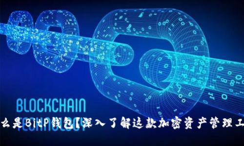 什么是BitP钱包？深入了解这款加密资产管理工具