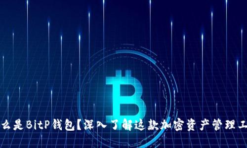 什么是BitP钱包？深入了解这款加密资产管理工具