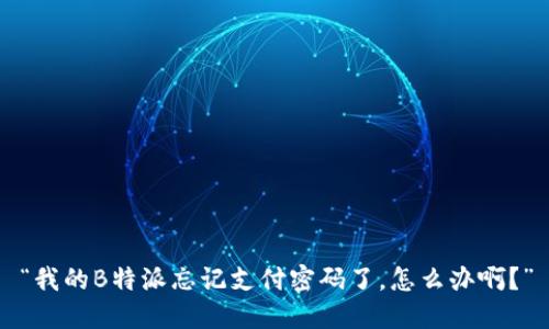 “我的B特派忘记支付密码了，怎么办啊？”