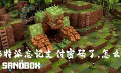 “我的B特派忘记支付密码了，怎么办啊？”