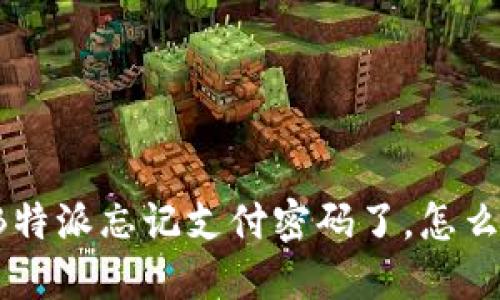 “我的B特派忘记支付密码了，怎么办啊？”