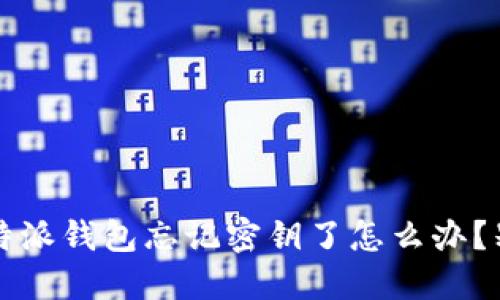 推荐: “啊呀！B特派钱包忘记密钥了怎么办？别急，我来教你！”