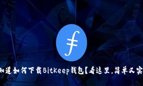 想知道如何下载BitKeep钱包？看这里，简单又实用！