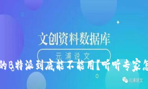 国内的B特派到底能不能用？听听专家怎么说