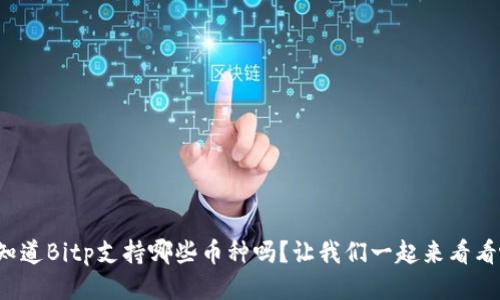 你知道Bitp支持哪些币种吗？让我们一起来看看吧！