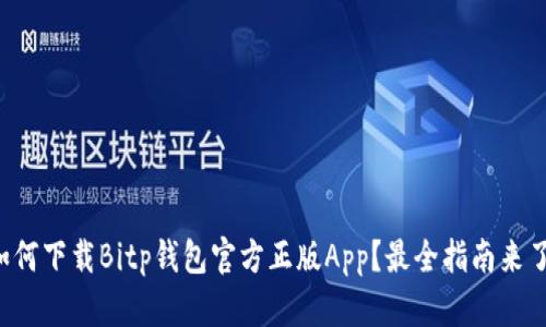 如何下载Bitp钱包官方正版App？最全指南来了！