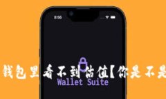 为什么我的B特派钱包里看不到估值？你是不是也