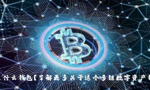 BitKeep是什么钱包？了解更多关于这个多链数字资产钱包的信息