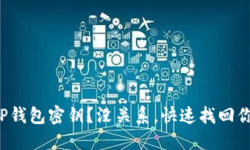 忘记了BitP钱包密钥？没关系，快速找回你的资产吧！