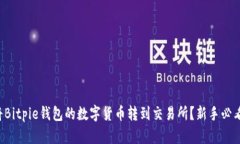 如何将Bitpie钱包的数字货币转到交易所？新手必