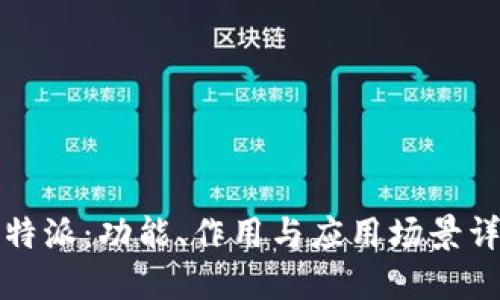  b特派：功能、作用与应用场景详解