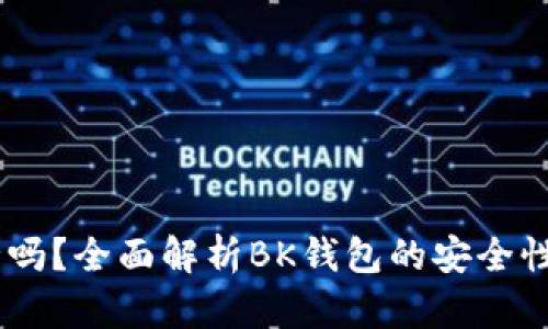 BK钱包安全吗？全面解析BK钱包的安全性与使用指南