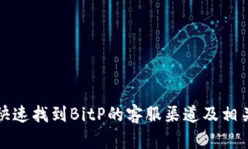 如何快速找到BitP的客服渠道及相关信息