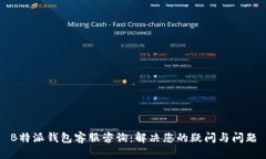 B特派钱包客服咨询：解决您的疑问与问题