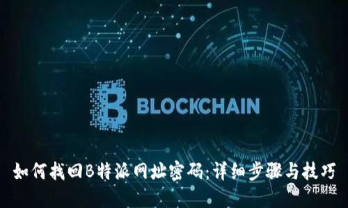 如何找回B特派网址密码：详细步骤与技巧