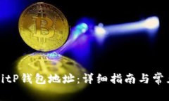 如何查找BitP钱包地址：详细指南与常见问题解答