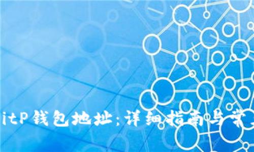如何查找BitP钱包地址：详细指南与常见问题解答