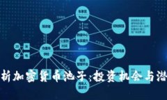 深度解析加密货币池子：投资机会与潜在风险