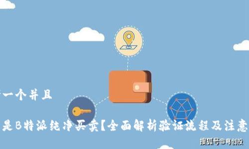 思考一个并且

什么是B特派纯净买卖？全面解析验证流程及注意事项