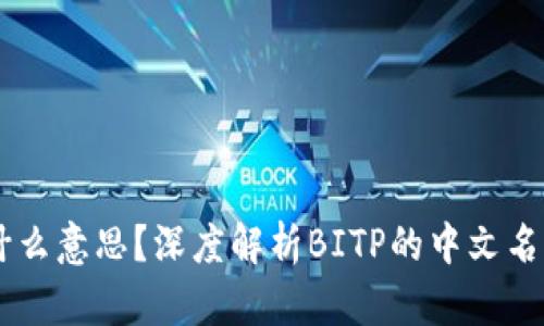 BITP是什么意思？深度解析BITP的中文名称与应用