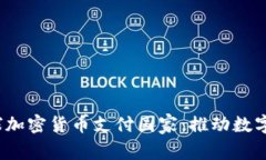 2023年全球加密货币支付国家：推动数字货币的未