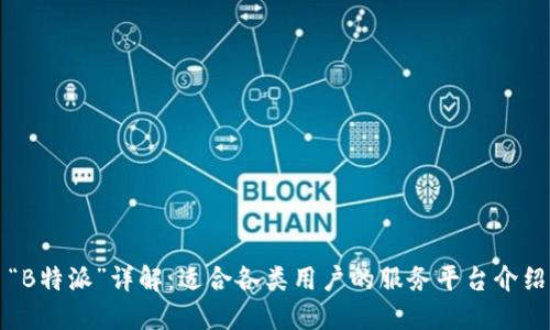 “B特派”详解：适合各类用户的服务平台介绍