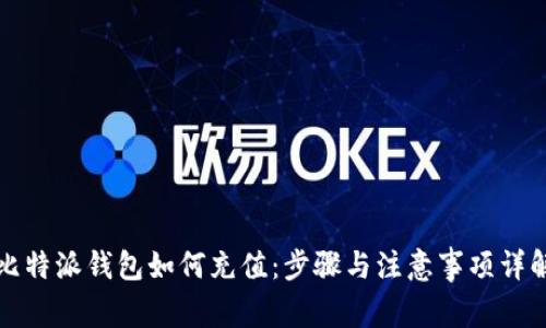 比特派钱包如何充值：步骤与注意事项详解